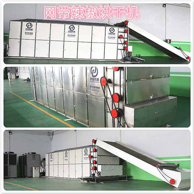 網帶辣椒烘干機