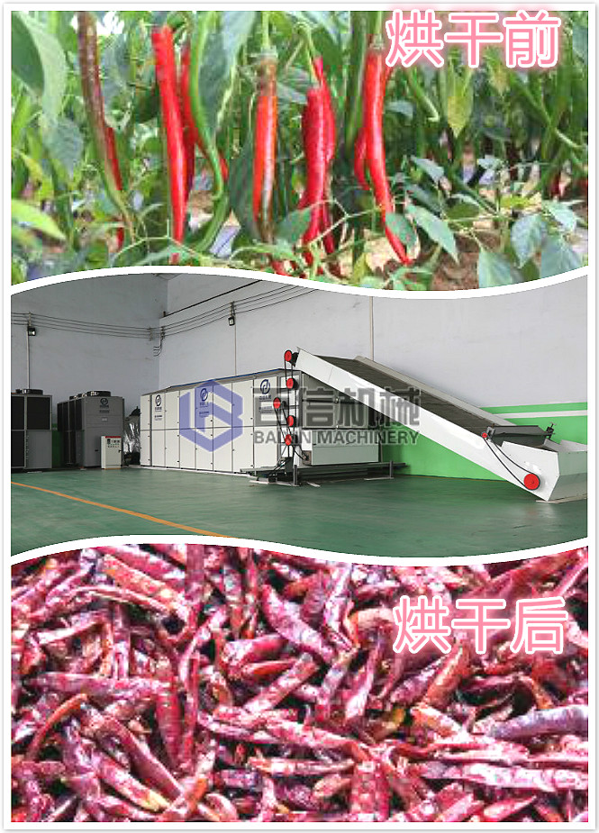 中型網(wǎng)帶烘干機